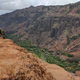 Illustration for article titled Waimea Canyon photo dump
